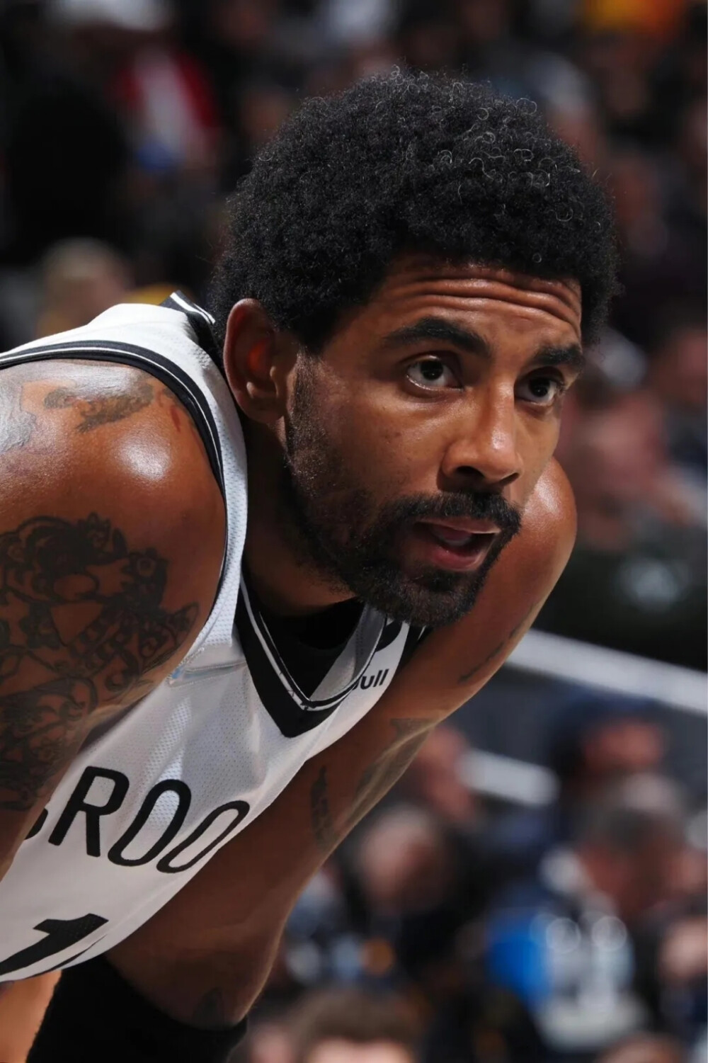 冉升起的新 冉升起的新